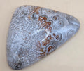 Mexican Crazy Lace Agate Cabochon - Triangular 47.5 ct