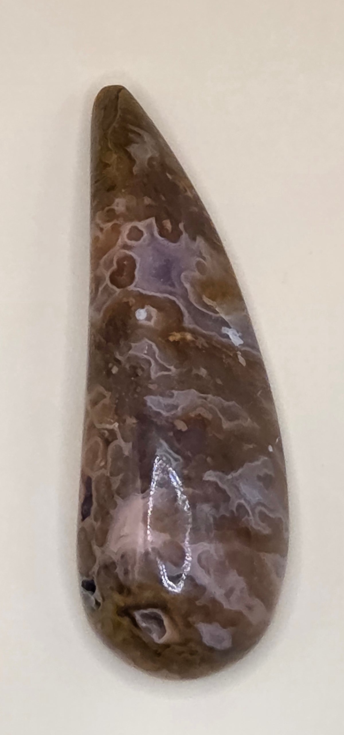 Bird of Paradise Plume Agate Cabochon - Freeform 42.7 ct