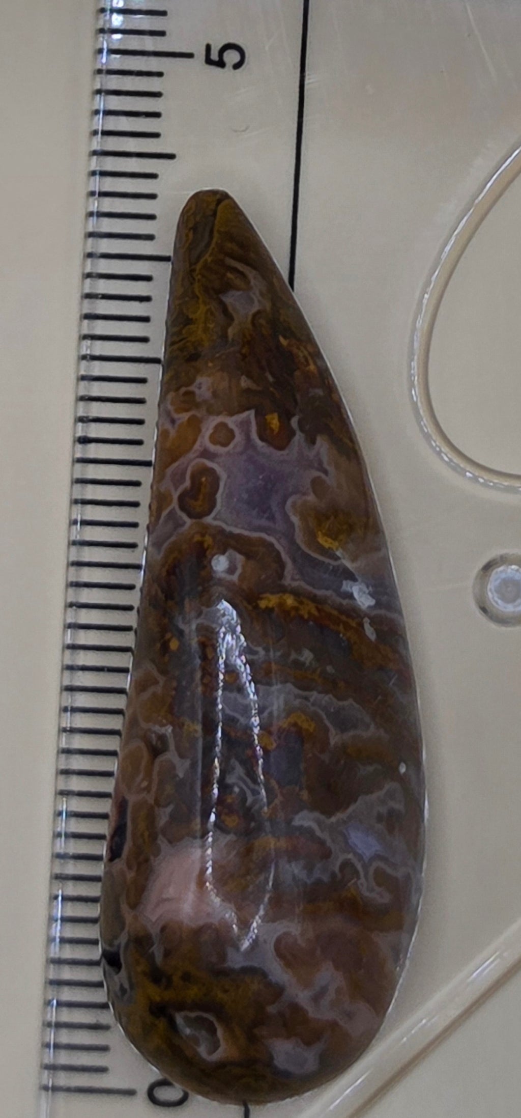 Bird of Paradise Plume Agate Cabochon - Freeform 42.7 ct